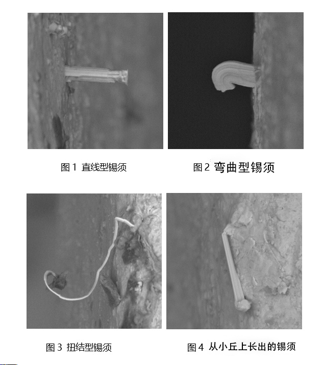 錫膏